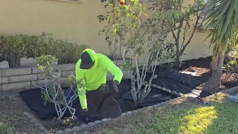 Mulch refresh for beds, planters, and tree wells.