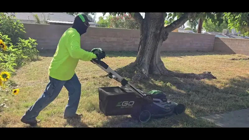 Weekly or bi-weekly mowing, done right.